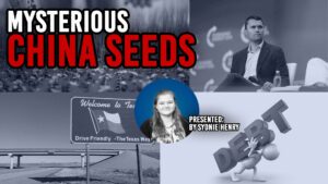 1.7.2026: Mysterious China Seeds