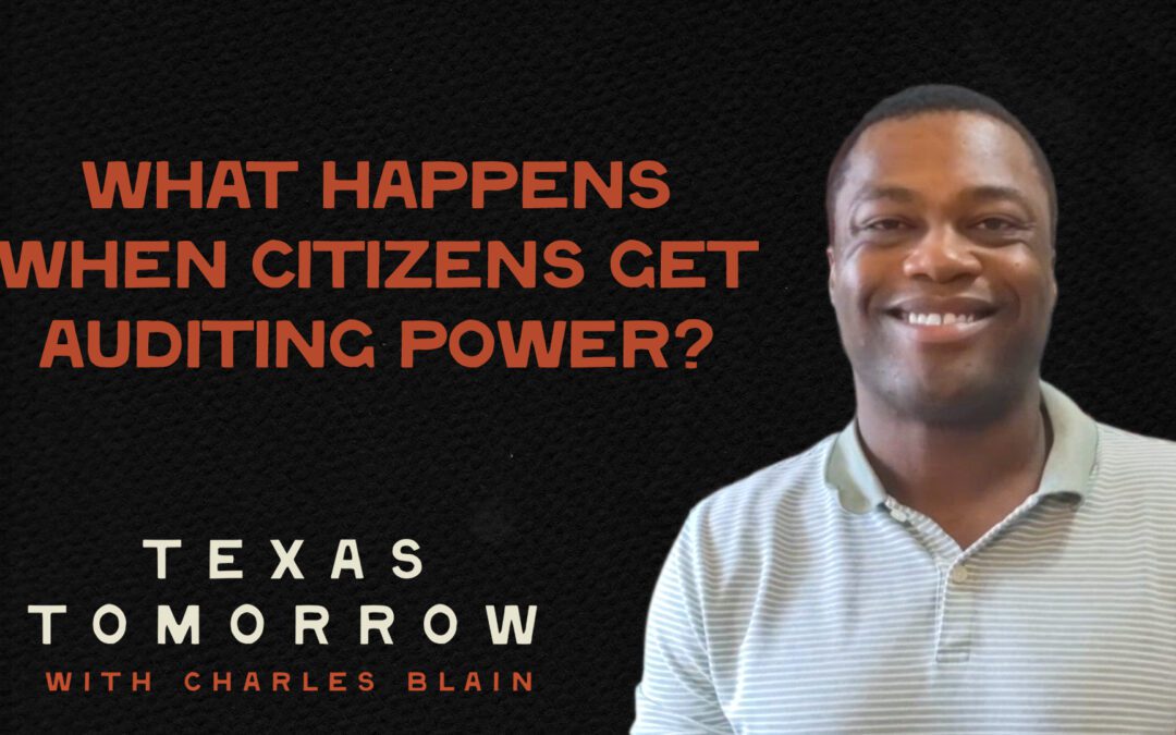 What Happens When Citizens Get Auditing Power?