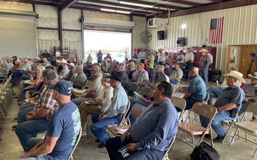 West Texans Protest Proposed Power Lines