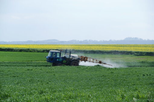Attorney General Paxton Investigating Glyphosate Contamination in Foods