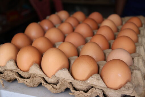 Paxton Cracks Egg Antitrust Case, Hatches Settlement for Texans  