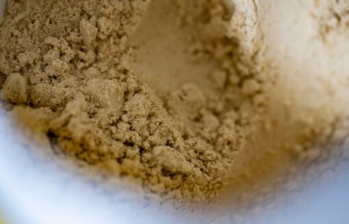 AG Paxton Probes Heavy Metal Contamination in Common Protein Powders