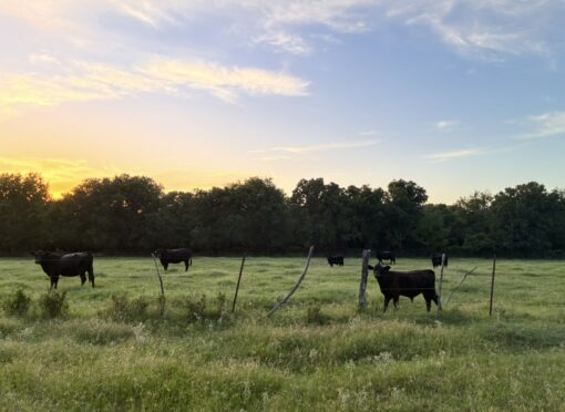 Impacted Ranching Family Asks Regulators to Deny Controversial 765-kV Project