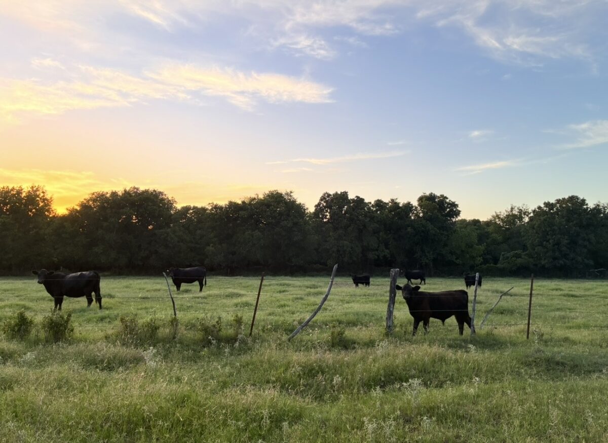 Great Southern Ranch