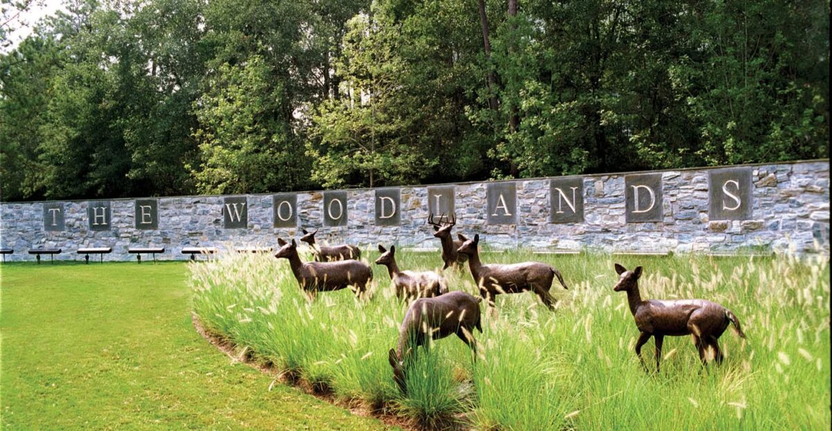 The Woodlands