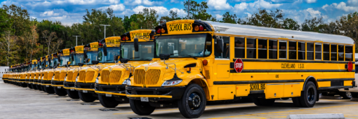 Cleveland ISD Granted Immunity in Wrongful-Termination Lawsuit
