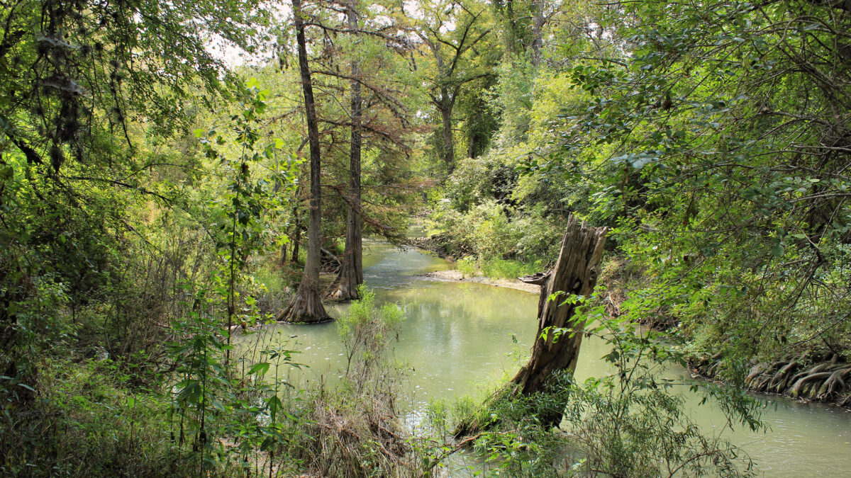 Medina River Natural Area