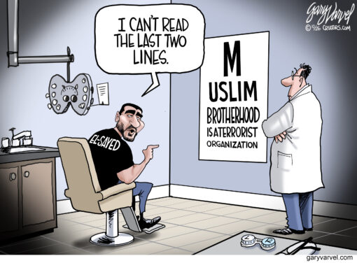 Abdul El-Sayed’s Blind Spot